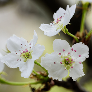 宜昌水泥厂家用小鱼营销导航
